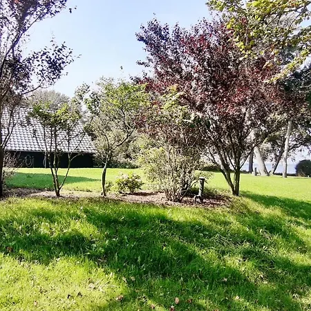 Ferienhaeuser Boddenstrand